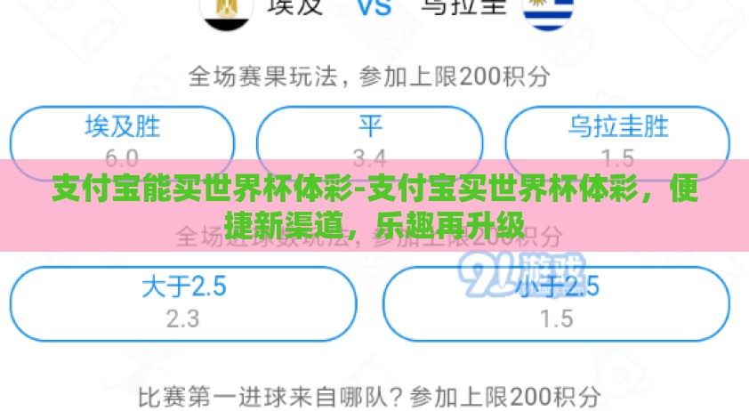 支付宝能买世界杯体彩-支付宝买世界杯体彩，便捷新渠道，乐趣再升级