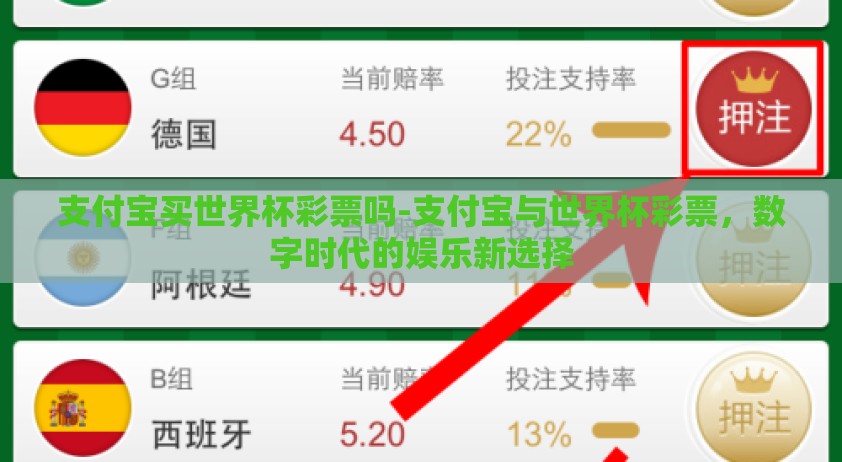 支付宝买世界杯彩票吗-支付宝与世界杯彩票，数字时代的娱乐新选择
