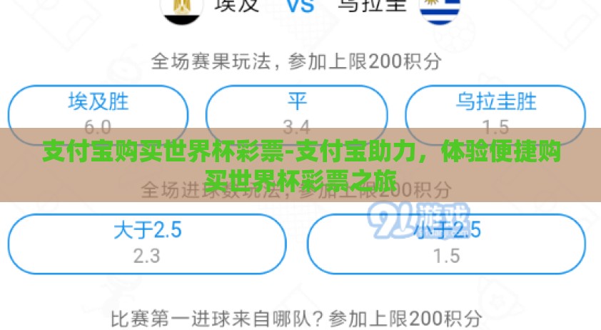 支付宝购买世界杯彩票-支付宝助力，体验便捷购买世界杯彩票之旅