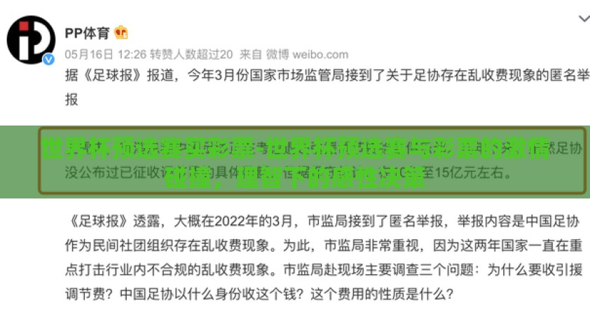 世界杯预选赛买彩票-世界杯预选赛与彩票的激情碰撞，理智下的感性决策