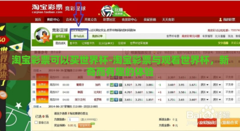 淘宝彩票可以买世界杯-淘宝彩票与观看世界杯，新奇而有趣的体验