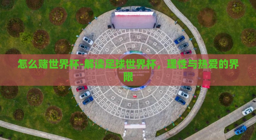 怎么赌世界杯-解读足球世界杯，理性与热爱的界限
