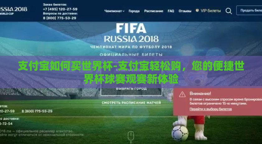 支付宝如何买世界杯-支付宝轻松购，您的便捷世界杯球赛观赛新体验