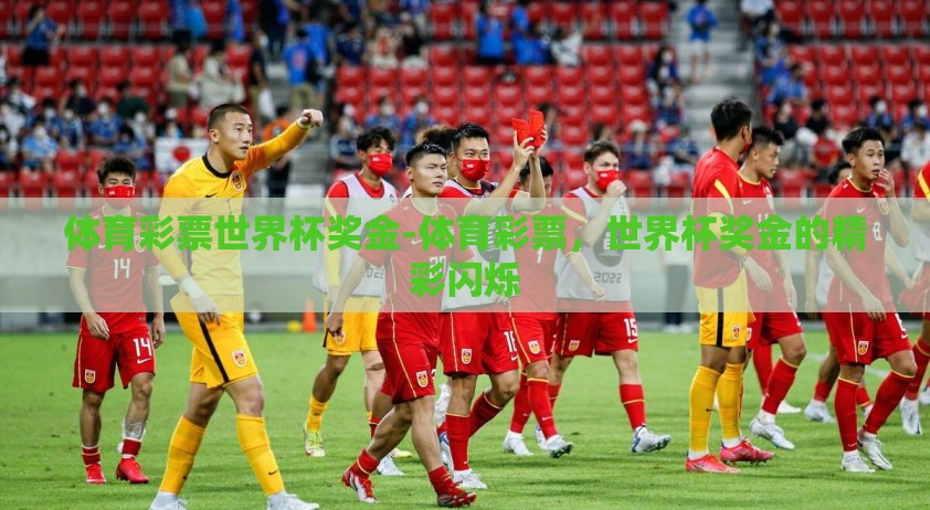 体育彩票世界杯奖金-体育彩票，世界杯奖金的精彩闪烁