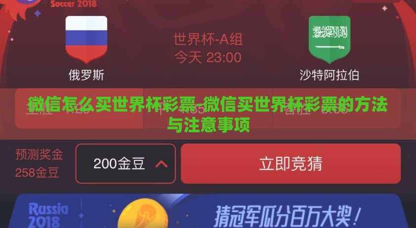 微信怎么买世界杯彩票-微信买世界杯彩票的方法与注意事项