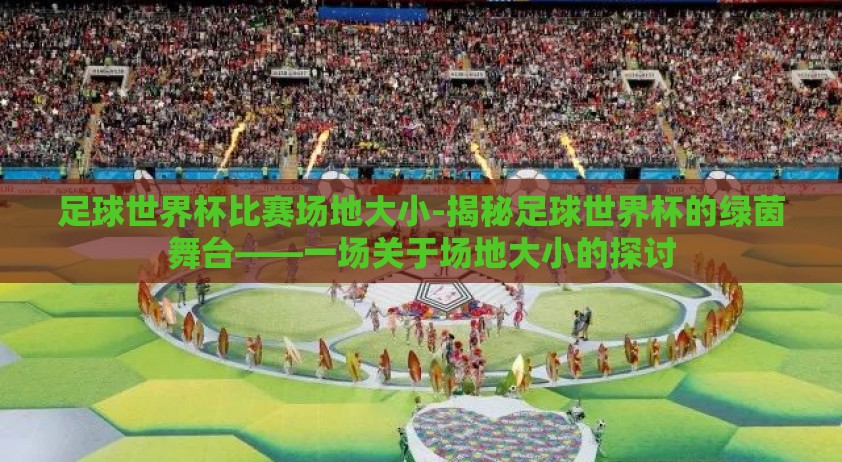 足球世界杯比赛场地大小-揭秘足球世界杯的绿茵舞台——一场关于场地大小的探讨