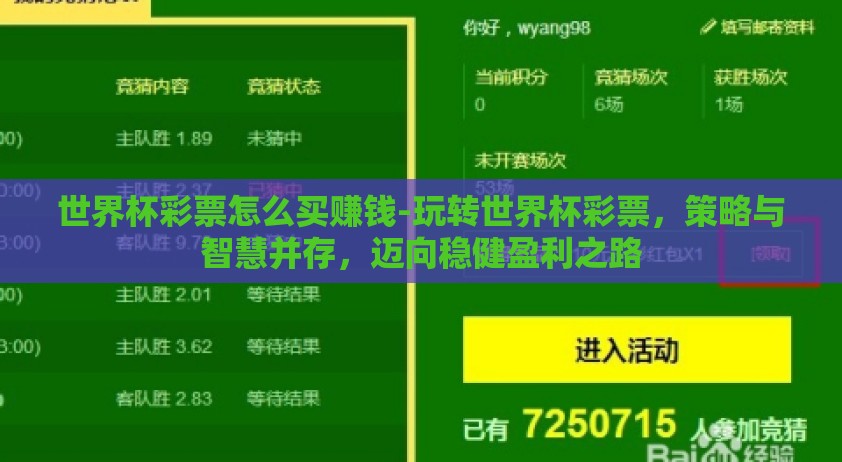 世界杯彩票怎么买赚钱-玩转世界杯彩票，策略与智慧并存，迈向稳健盈利之路