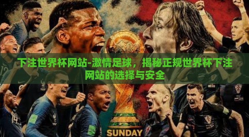 下注世界杯网站-激情足球，揭秘正规世界杯下注网站的选择与安全