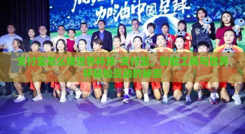 支付宝怎么赌世界杯球-支付宝，智能工具与世界杯轻松互动的秘密