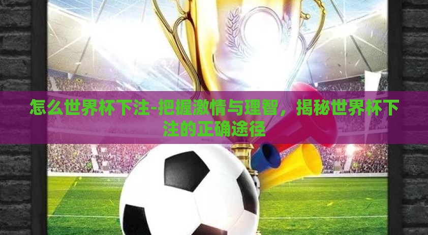 怎么世界杯下注-把握激情与理智，揭秘世界杯下注的正确途径