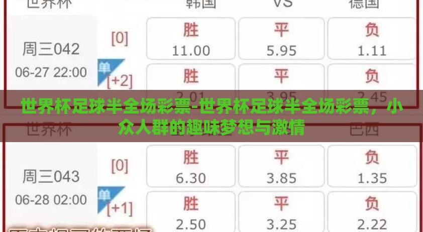 世界杯足球半全场彩票-世界杯足球半全场彩票，小众人群的趣味梦想与激情