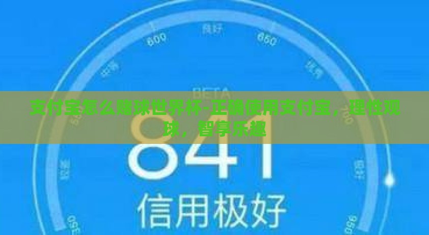 支付宝怎么赌球世界杯-正确使用支付宝，理性观球，智享乐趣