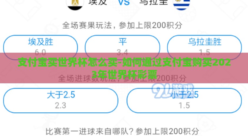 支付宝买世界杯怎么买-如何通过支付宝购买2023年世界杯彩票