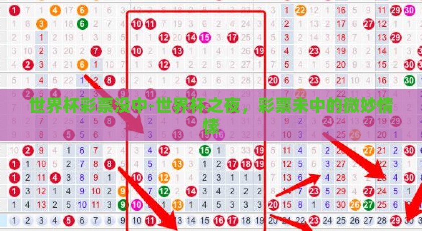 世界杯彩票没中-世界杯之夜，彩票未中的微妙情愫