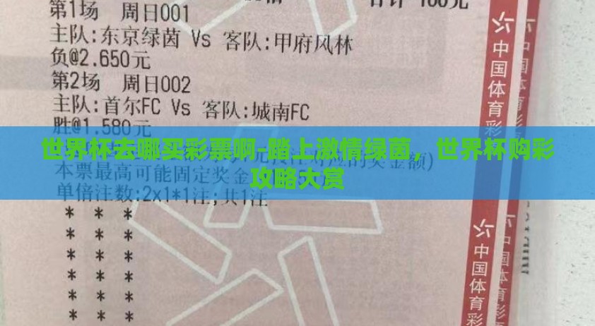 世界杯去哪买彩票啊-踏上激情绿茵，世界杯购彩攻略大赏