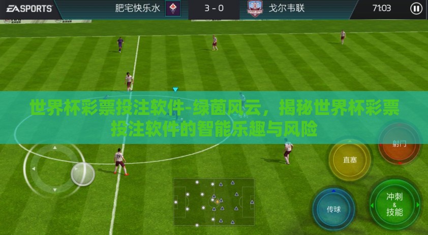 世界杯彩票投注软件-绿茵风云,揭秘世界杯彩票投注软件的智能乐趣与风险 世界杯彩票投注软件-绿茵风云,揭秘世界杯彩票投注软件的智能乐趣与风险