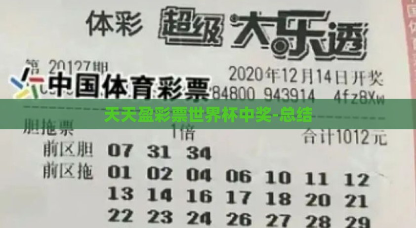 天天盈彩票世界杯中奖-总结