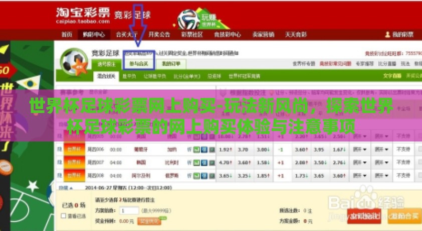 世界杯足球彩票网上购买-玩法新风尚，探索世界杯足球彩票的网上购买体验与注意事项