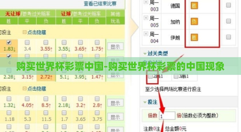 购买世界杯彩票中国-购买世界杯彩票的中国现象 购买世界杯彩票中国-购买世界杯彩票的中国现象