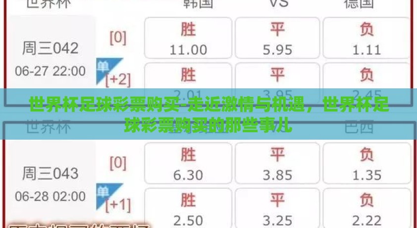 世界杯足球彩票购买-走近激情与机遇，世界杯足球彩票购买的那些事儿