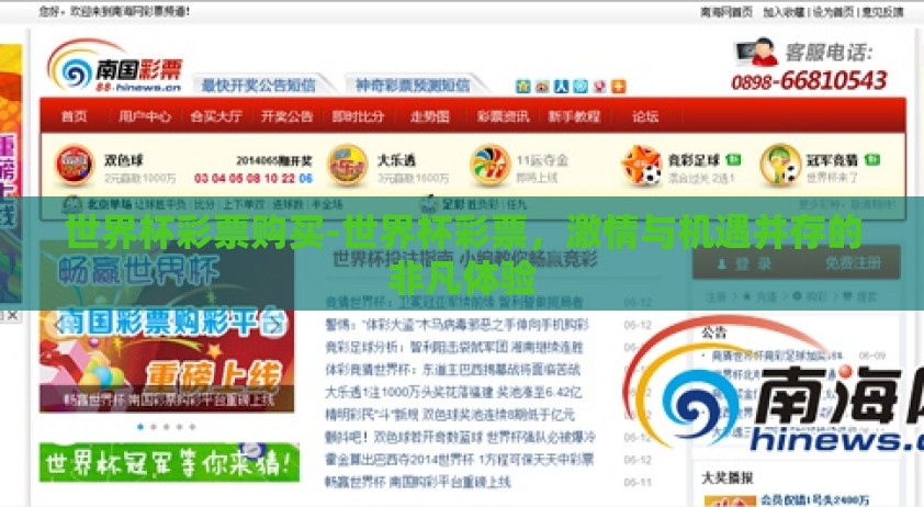 世界杯彩票购买-世界杯彩票，激情与机遇并存的非凡体验