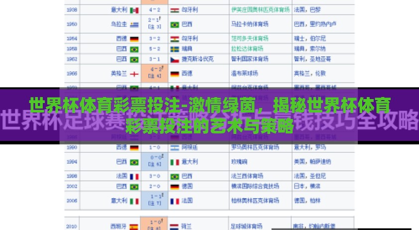 世界杯体育彩票投注-激情绿茵，揭秘世界杯体育彩票投注的艺术与策略