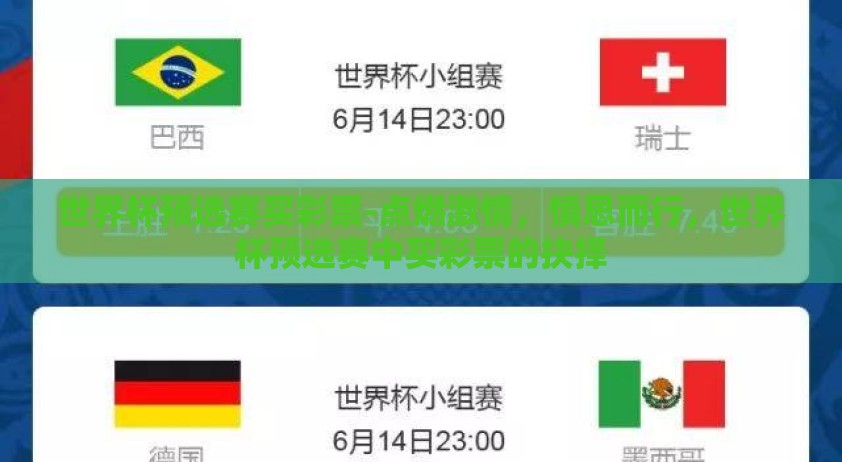 世界杯预选赛买彩票-点燃激情，慎思而行，世界杯预选赛中买彩票的抉择