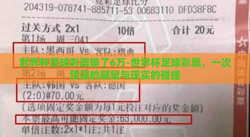 世界杯足球彩票输了6万-世界杯足球彩票，一次错误的期望与现实的碰撞