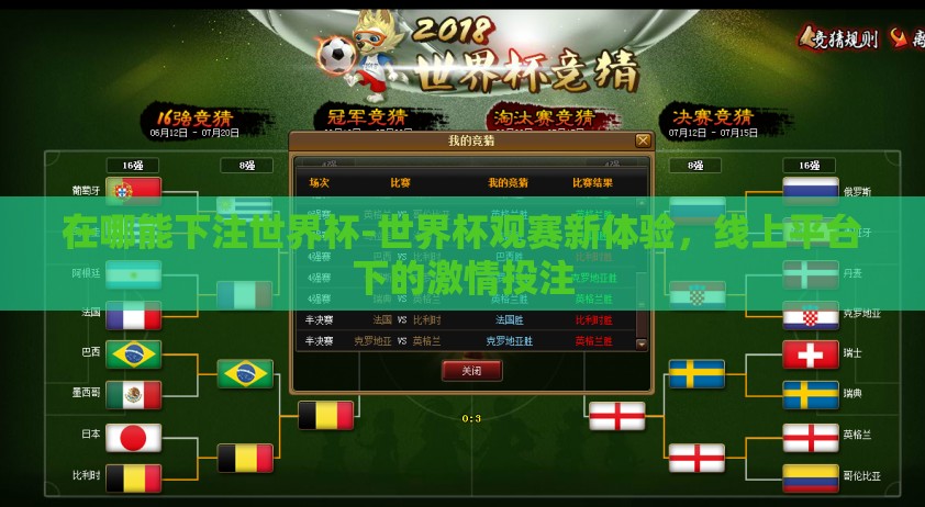 在哪能下注世界杯-世界杯观赛新体验，线上平台下的激情投注
