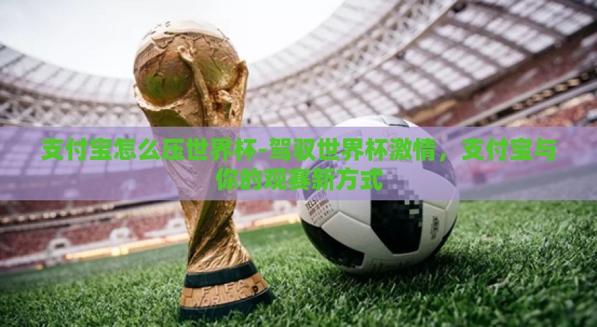 支付宝怎么压世界杯-驾驭世界杯激情,支付宝与你的观赛新方式 支付宝怎么压世界杯-驾驭世界杯激情,支付宝与你的观赛新方式