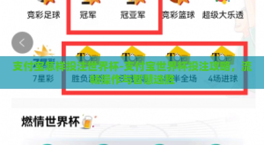 支付宝怎样投注世界杯-支付宝世界杯投注攻略，流畅操作与智慧选胜