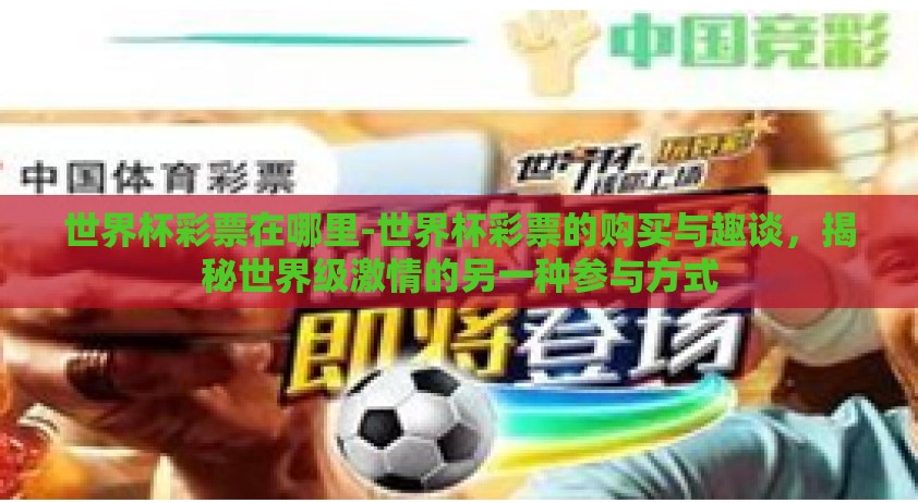 世界杯彩票在哪里-世界杯彩票的购买与趣谈，揭秘世界级激情的另一种参与方式
