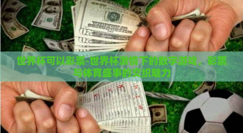 世界杯可以彩票-世界杯激情下的数字游戏，彩票与体育盛事的交织魅力