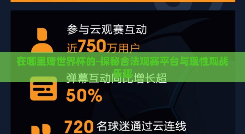 在哪里赌世界杯的-探秘合法观赛平台与理性观战乐趣