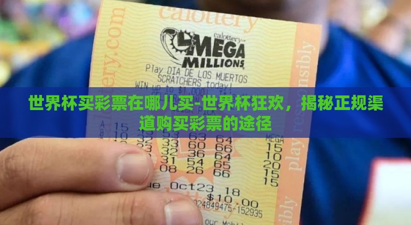 世界杯买彩票在哪儿买-世界杯狂欢，揭秘正规渠道购买彩票的途径