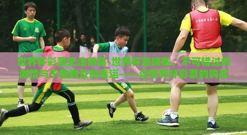世界杯彩票无法购买-世界杯足球赛，不可错过的激情与不能触及的幸运——论世界杯彩票的购买限制