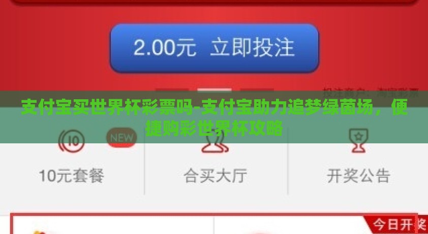 支付宝买世界杯彩票吗-支付宝助力追梦绿茵场，便捷购彩世界杯攻略