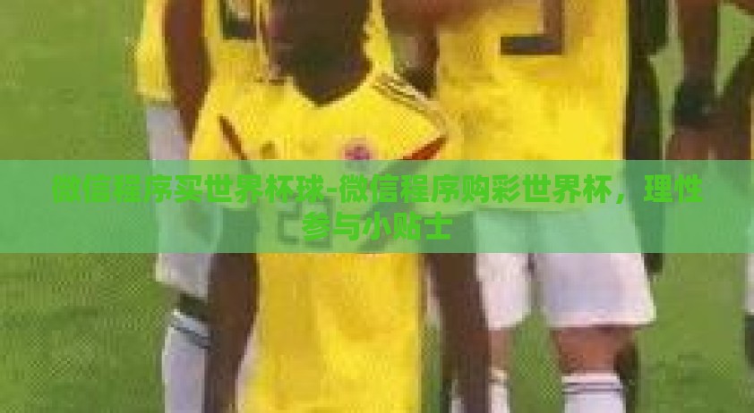 微信程序买世界杯球-微信程序购彩世界杯，理性参与小贴士