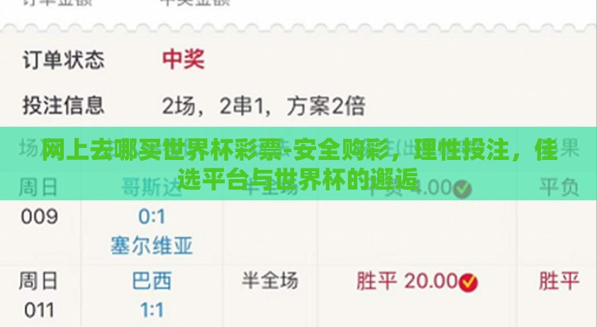 网上去哪买世界杯彩票-安全购彩，理性投注，佳选平台与世界杯的邂逅