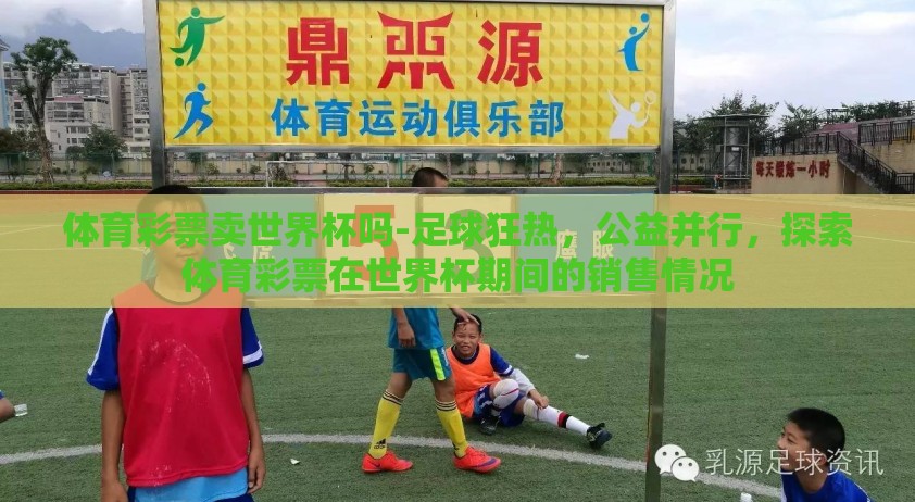 体育彩票卖世界杯吗-足球狂热,公益并行,探索体育彩票在世界杯期间的销售情况 体育彩票卖世界杯吗-足球狂热,公益并行,探索体育彩票在世界杯期间的销售情况
