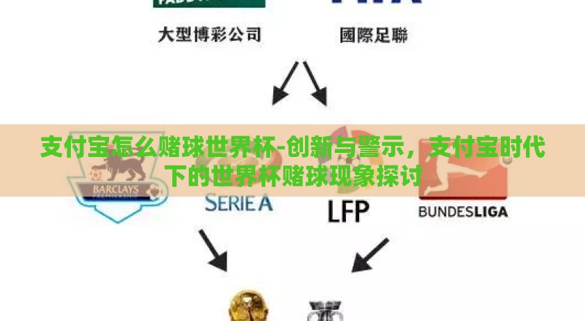 支付宝怎么赌球世界杯-创新与警示，支付宝时代下的世界杯赌球现象探讨