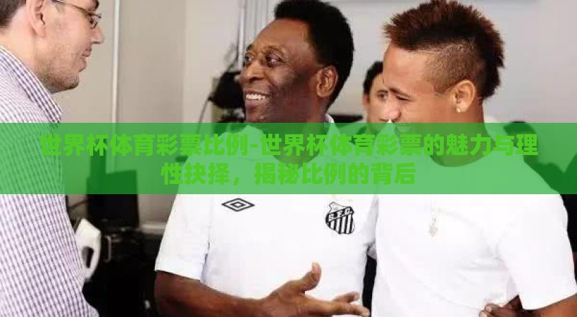 世界杯体育彩票比例-世界杯体育彩票的魅力与理性抉择，揭秘比例的背后