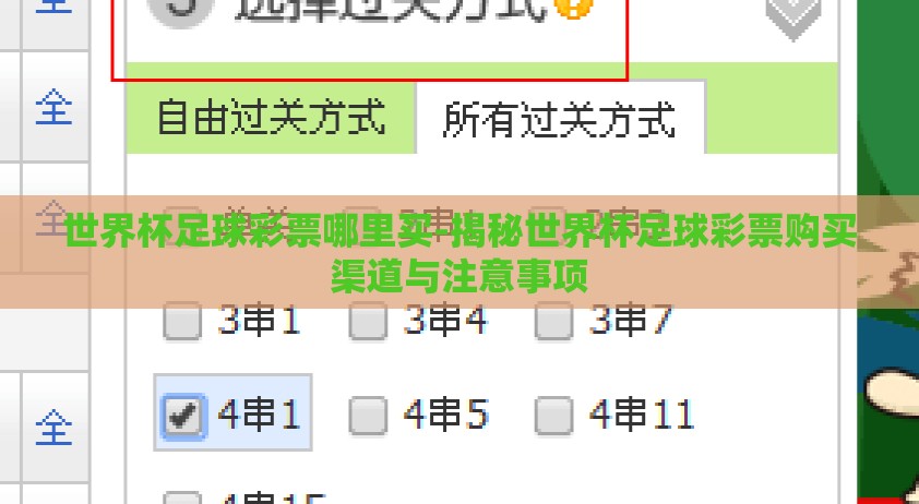 世界杯足球彩票哪里买-揭秘世界杯足球彩票购买渠道与注意事项
