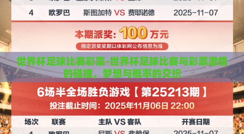 世界杯足球比赛彩票-世界杯足球比赛与彩票激情的碰撞，梦想与概率的交织