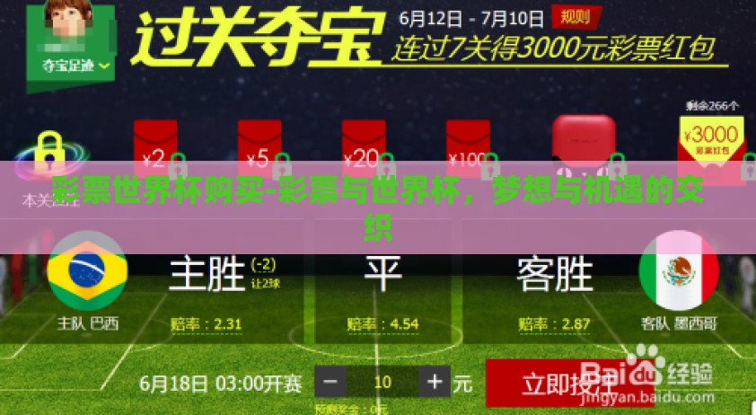 彩票世界杯购买-彩票与世界杯，梦想与机遇的交织
