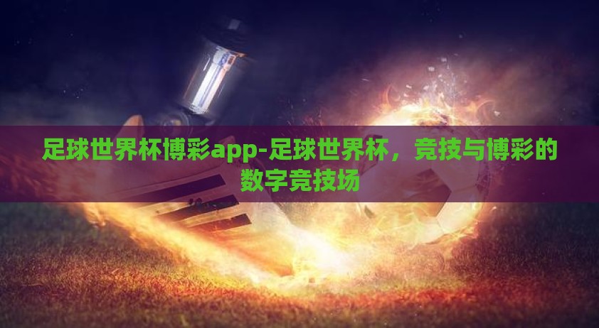 足球世界杯博彩app-足球世界杯，竞技与博彩的数字竞技场