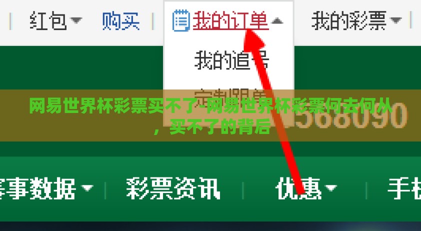 网易世界杯彩票买不了-网易世界杯彩票何去何从，买不了的背后