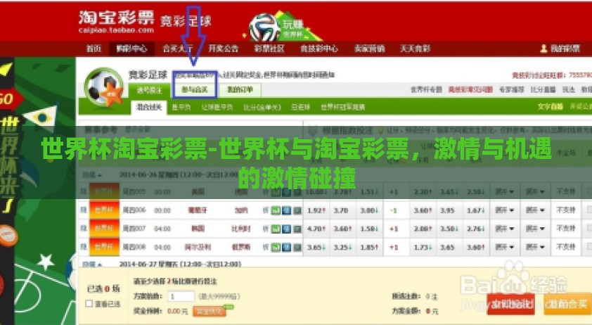 世界杯淘宝彩票-世界杯与淘宝彩票，激情与机遇的激情碰撞