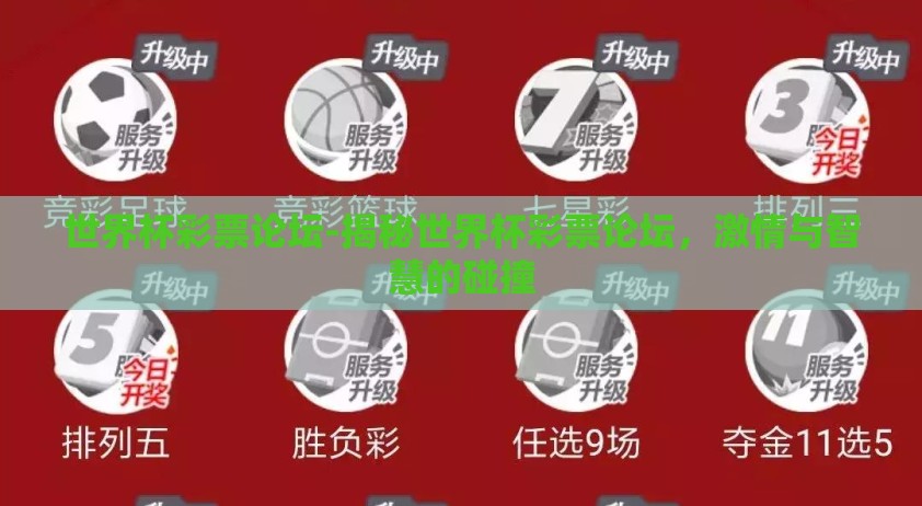 世界杯彩票论坛-揭秘世界杯彩票论坛，激情与智慧的碰撞