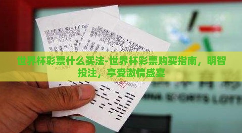 世界杯彩票什么买法-世界杯彩票购买指南，明智投注，享受激情盛宴
